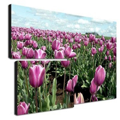 1595929832460226.jpg 0mm液晶拼接屏.jpg